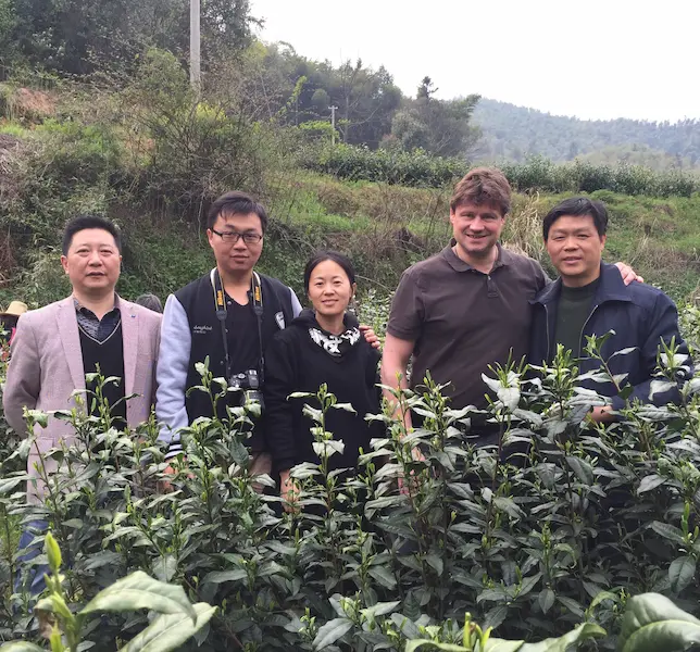 Sun Time Tea team at mountain tea plantation